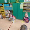 Realizacja ogólnopolskiego program edukacyjnego w oddziałach zerowych „Akademia Kici- Koci”